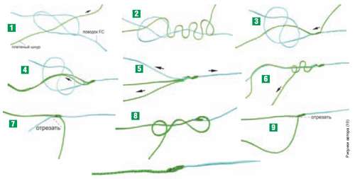 Не самый сложный узел для соединения поводка и основного шнура.