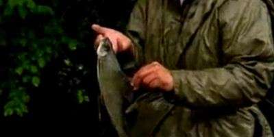 О рыбалке в Югославии